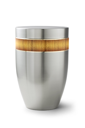 Stella - Sunburst Ribbon