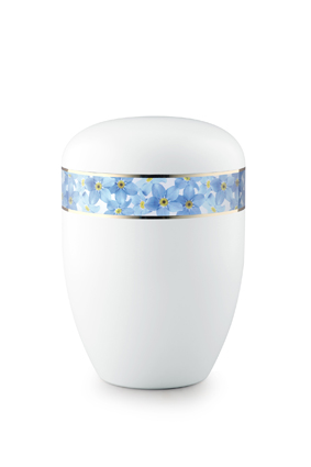 Panorama - Forget-me-not