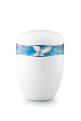 Panorama - Dove of Peace