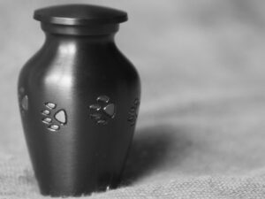 Paw Print Black Pewter urn - Image 1