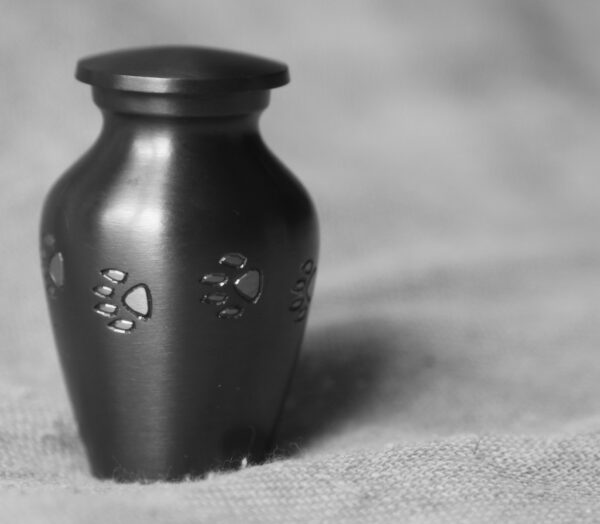 ae-bur-_1614a_black_pewter_paw_prints_pet_urn.jpg