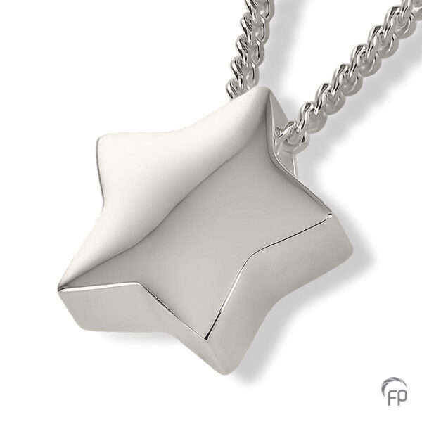 AH 054 Ash pendant