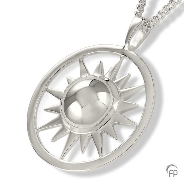 AH 072 Ash pendant