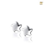 EHS 006 Earrings star