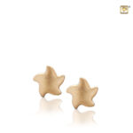 EHS 007 Earrings star