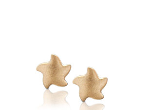 EHS 007 Earrings star