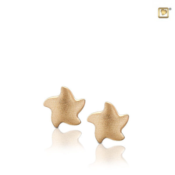 EHS 007 Earrings star