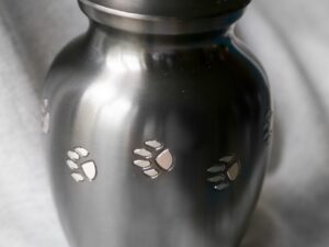 Classic Paw Print Slate XS - Image 1