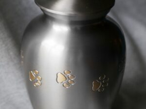 Paw prints Pewter Gold S - Image 1
