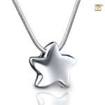 PHS 006 Ash pendant star