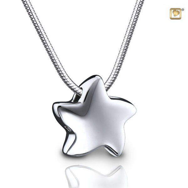 PHS 006 Ash pendant star
