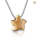 PHS 007 Ash pendant star