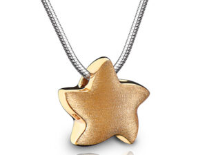 PHS 007 Ash pendant star