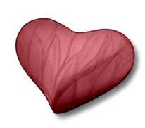 H680 Heart Child Urn Pearl Crimson 0.05ltr